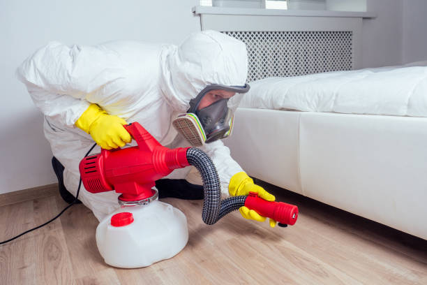 Best Indoor Pest Control  in Roseville, OH